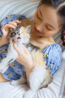 明星专题：罗文姬